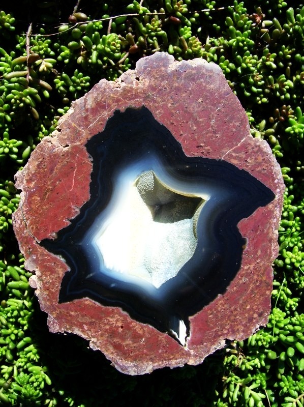 Black Rock Thunderegg